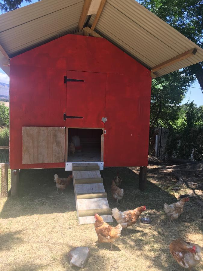 Sweetwater Guesthouse Wellington Esterno foto